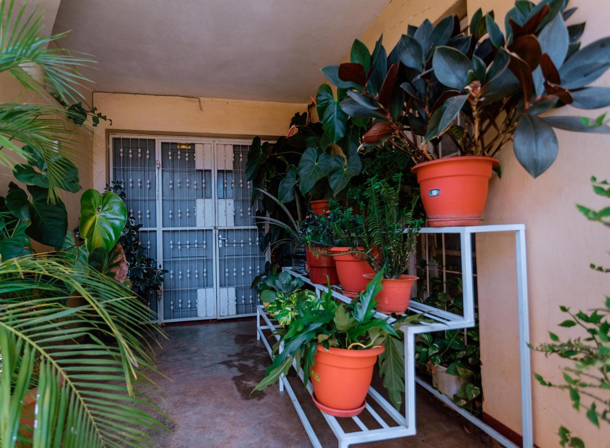 Faraja Homestay: Urban Comfort with Free Wi-Fi Moshi Exterior photo